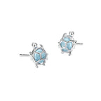 Silver earrings with blue gemstones on a white background