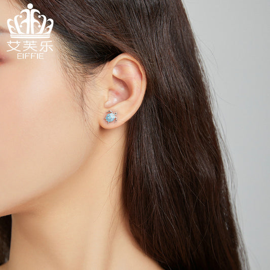 Sea Turtle Ocean Collection