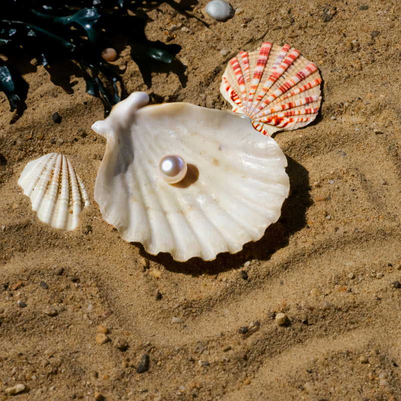 Ocean Jewelry